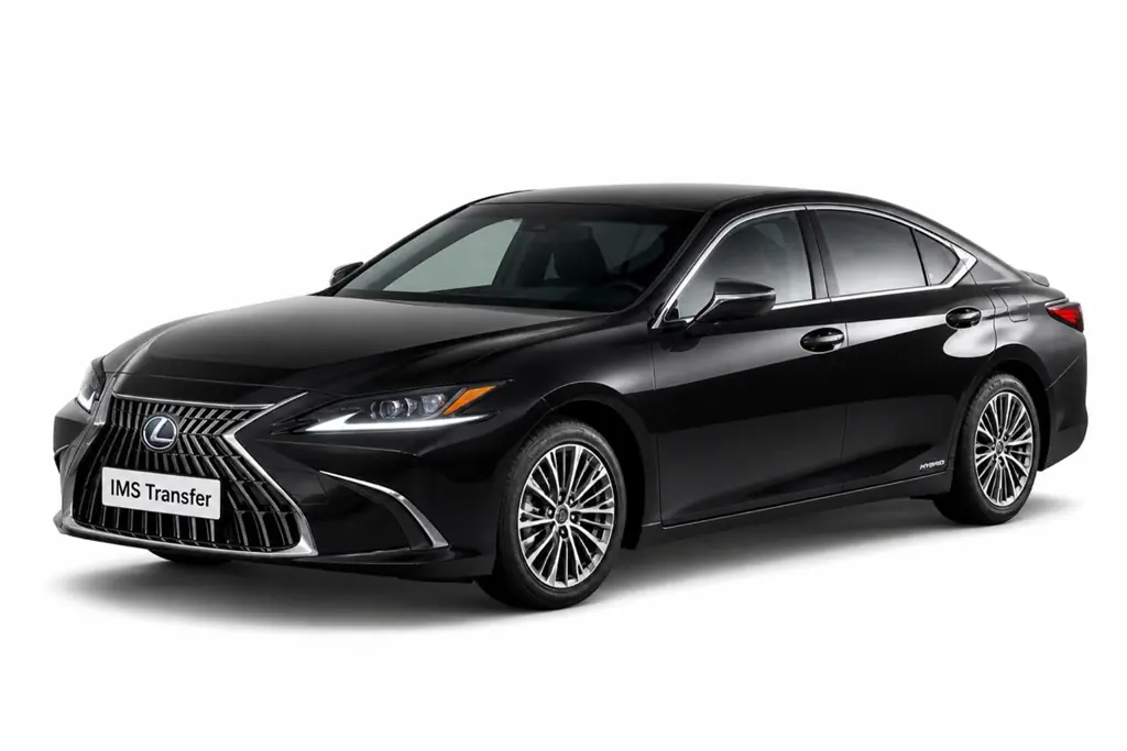 Business car